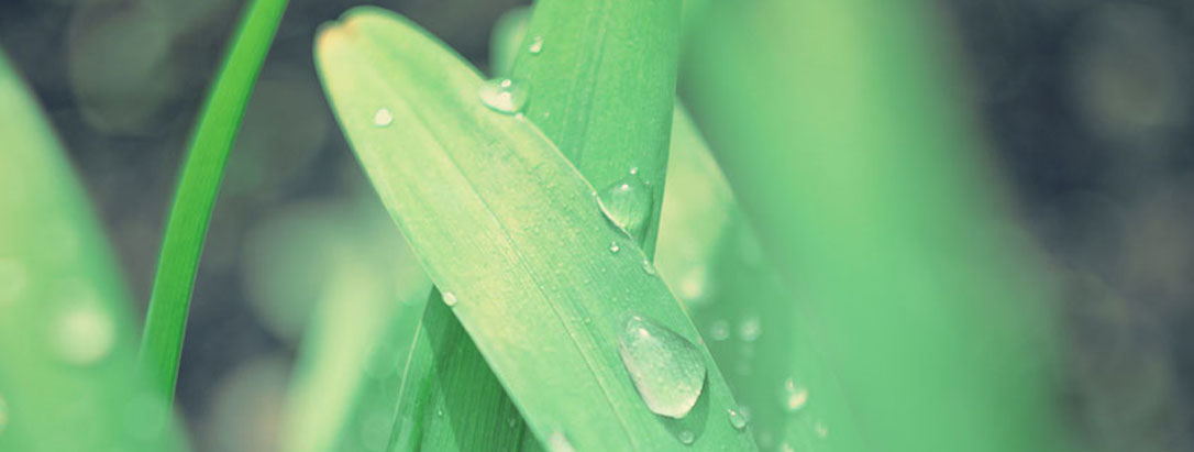 豆蔓科(kē)技(jì) 創新産品強勢出擊